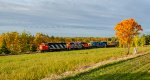 CN 9576 leads 561 at lAnse-Des-Morts road